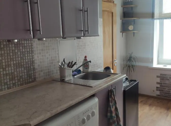 Cozy Flat In Latvian Style Riga