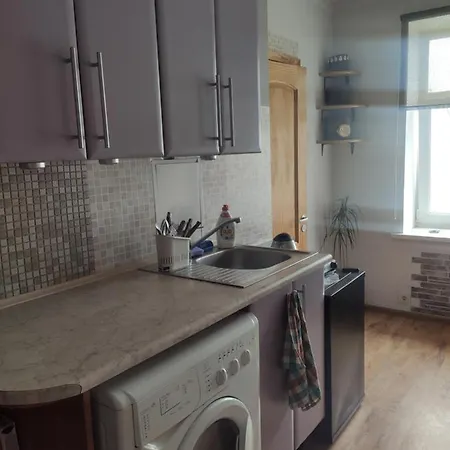 Cozy Flat In Latvian Style 里加